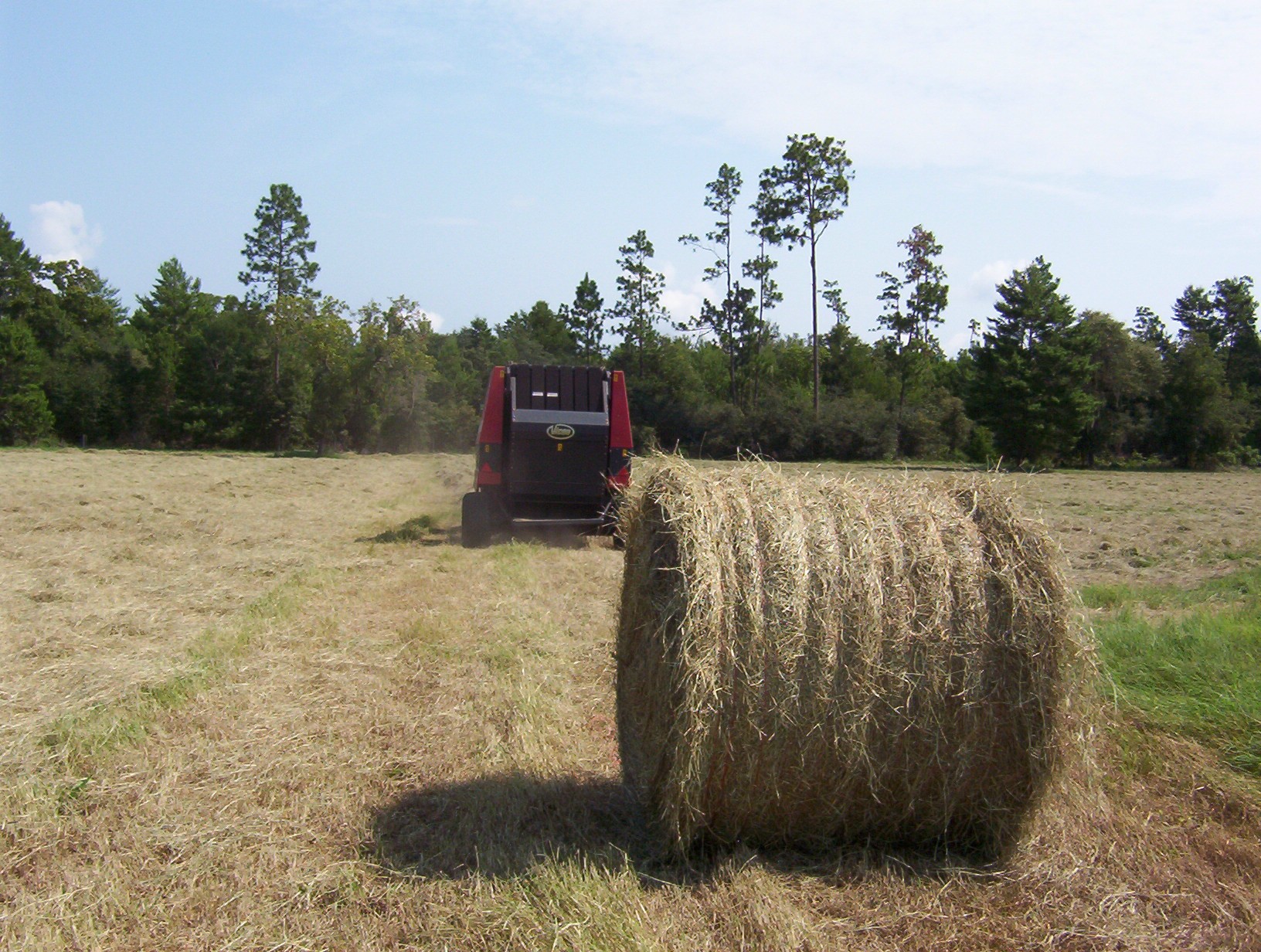 haybale.jpg
