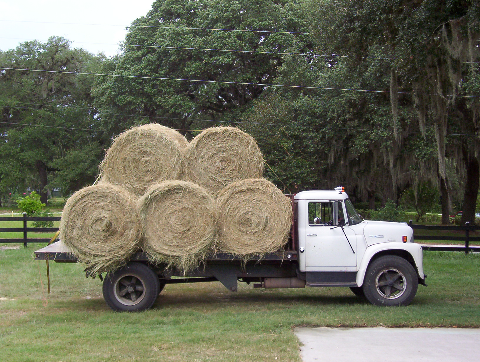 truckloadofhay.jpg